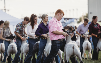 Exhibitor Newsletter – June 2023
