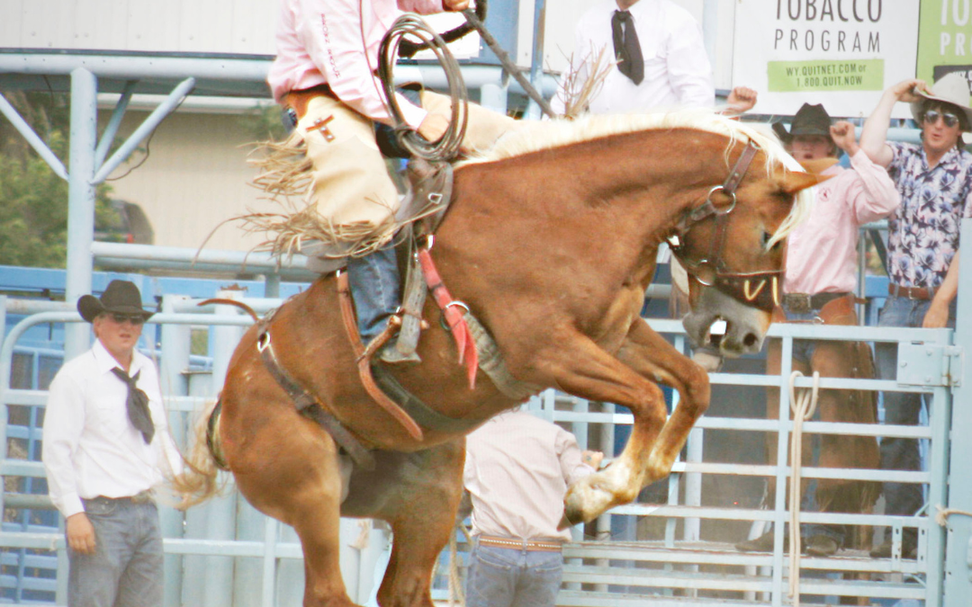 Ranch Rodeo