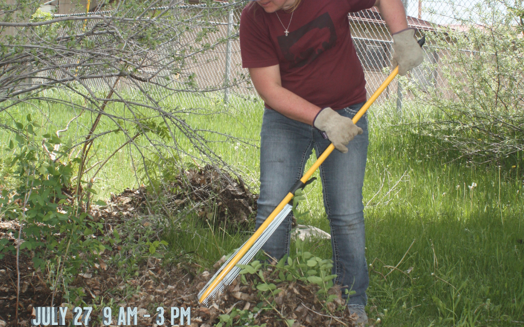 Volunteer Days
