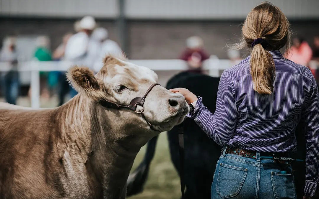 Exhibitor Newsletter – August 2023