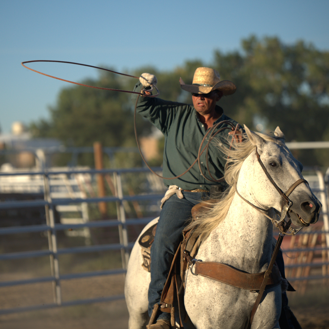 Ranch Rodeo Cowboy