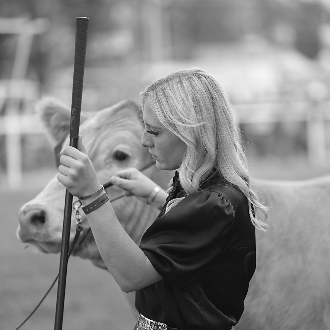 This black and white photo captures a young woman showing her steer for competition at the fair. Dressed in a satin shirt and wearing a belt with an ornate buckle, she focuses intently holding the halter on her animal. Her blonde hair flows over her shoulder, and she wears multiple wristbands and bracelets. The steer, calm and steady, stands beside her, its large eyes gazing forward. The blurred background showcases the show ring. This image beautifully reflects the dedication and hard work of youth involved in agricultural competitions.
