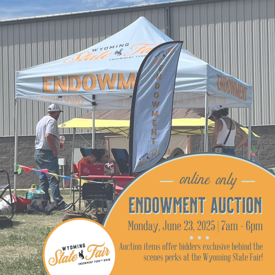 Endowment Auction Flyer 2025