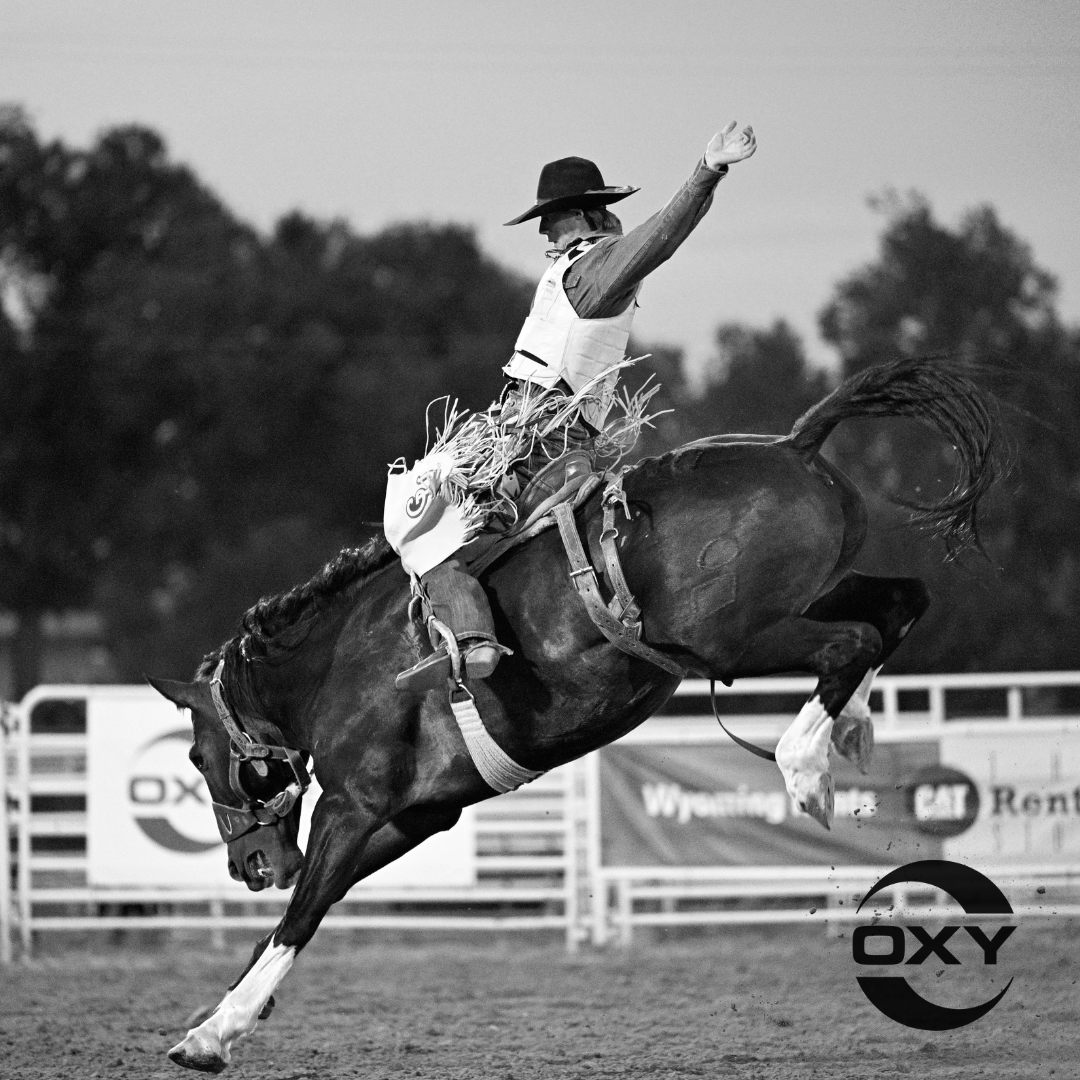 This black and white photo captures the thrilling action of a rodeo bronc rider in mid-ride. The cowboy, dressed in traditional western attire with a wide-brimmed hat and protective vest, holds one arm high in the air for balance while gripping tightly to the bucking horse. The horse is captured in full motion, its muscles tense and mane flying as it kicks up dirt in the arena. The background features rodeo fences and banners, adding to the authentic atmosphere of the event. This image perfectly showcases the raw energy, skill, and tradition that define rodeo competition.