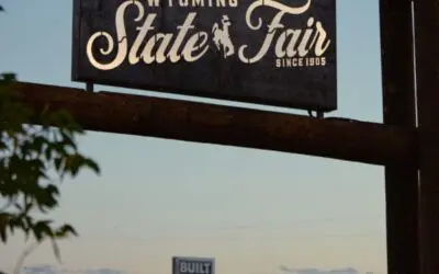 WSF Releases Expanded Master Plan