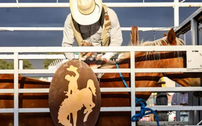Wyoming State Fair Board to Meet Daily, August 10th-15th