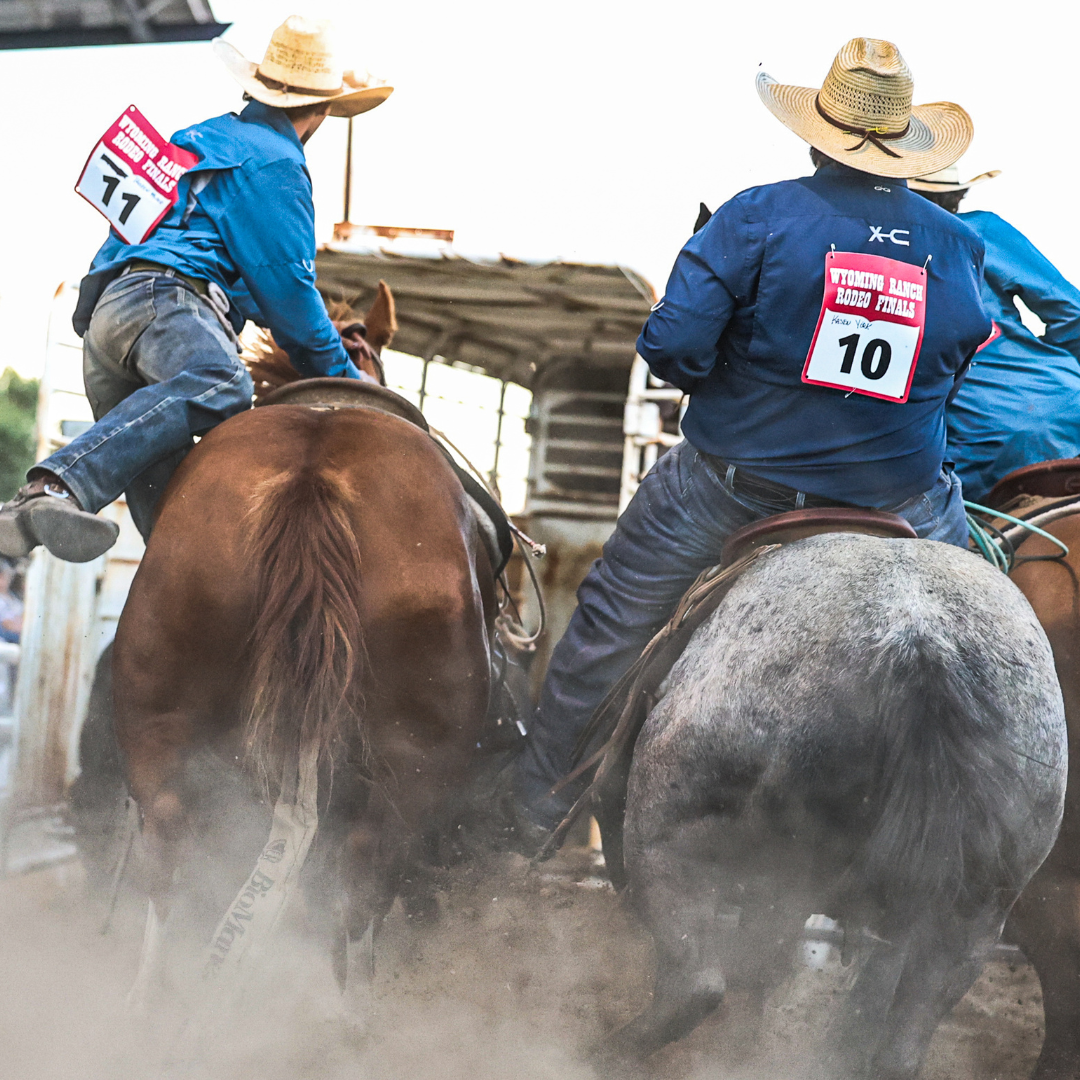 Ranch rodeo cowboys on horseback race through a cloud of dust during a trailer loading event at the Wyoming State Fair, guiding cattle toward a livestock trailer in the arena.
