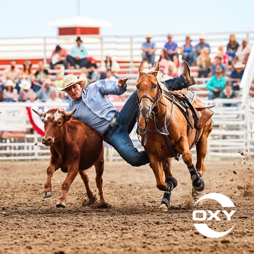 A PRCA steer wrestler leaps from horseback toward a running steer during a rodeo event at the Wyoming State Fair, while a hazer rider helps guide the animal across the arena as spectators watch from the grandstands.