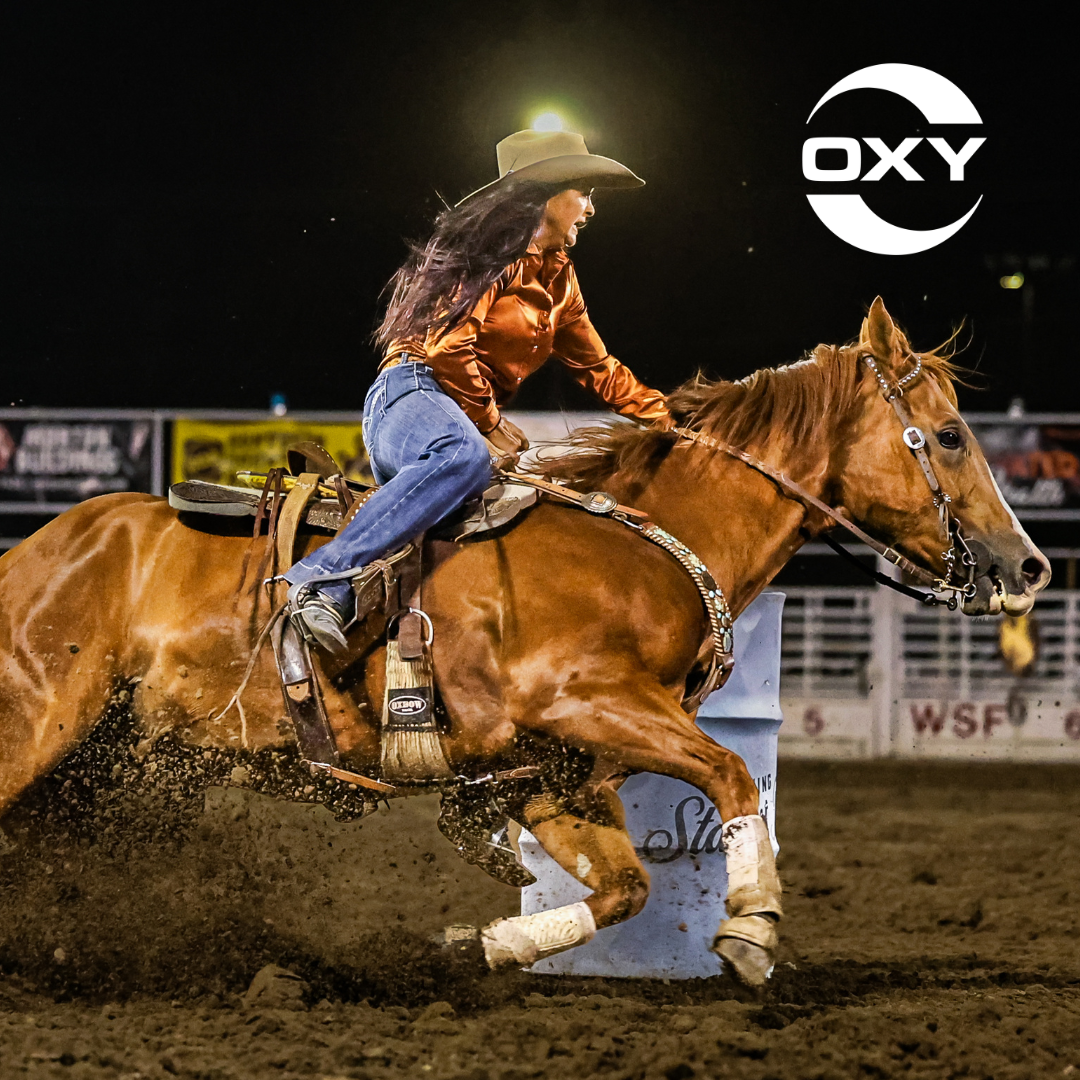 A barrel racer rounds a barrel at high speed during a rodeo event at the Wyoming State Fair, as dirt flies from the horse’s hooves under the arena lights.