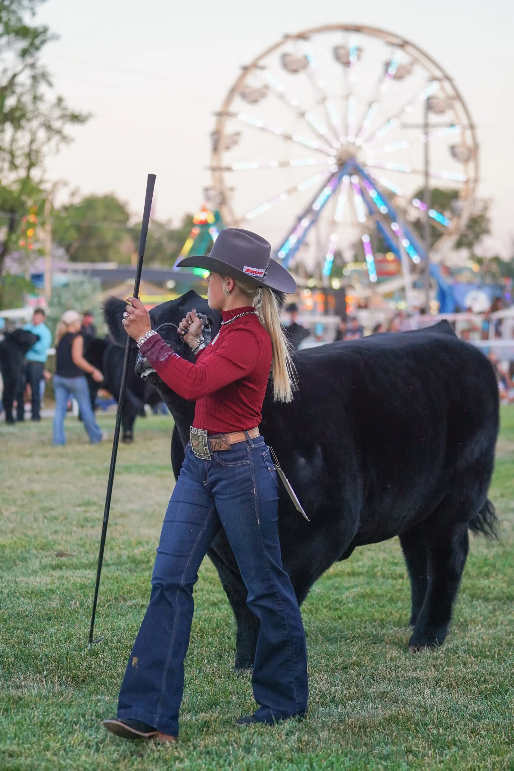 A youth exhibitor in a cowboy hat leads a black steer across the grass during the Champion of Champions beef competition at the Wyoming State Fair, with the Ferris wheel glowing in the background.