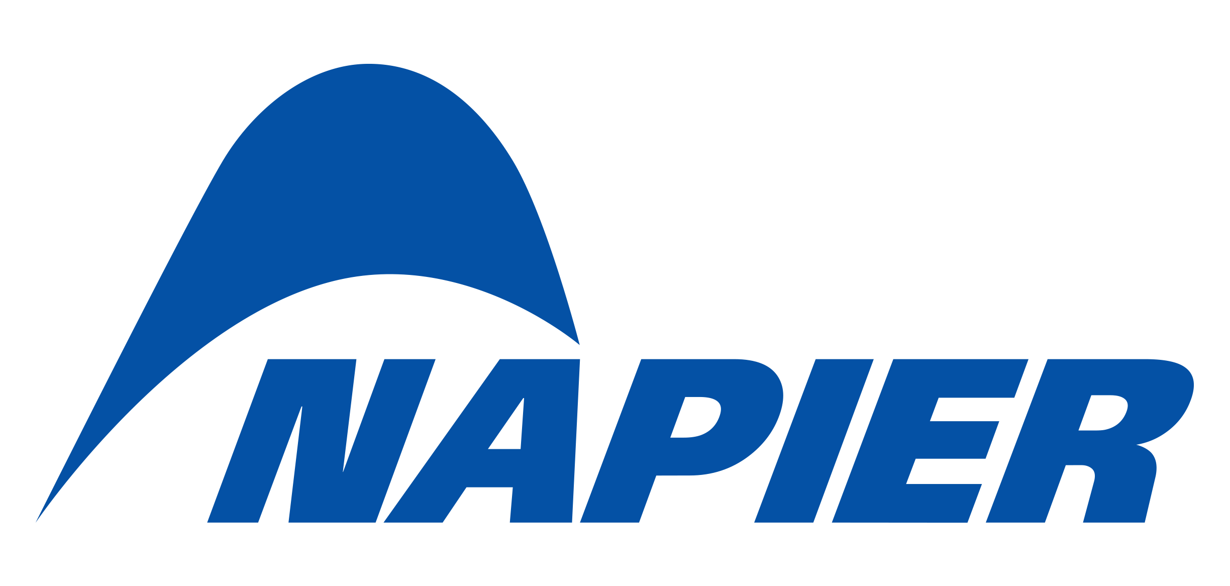 Napier Logo blue RGB L
