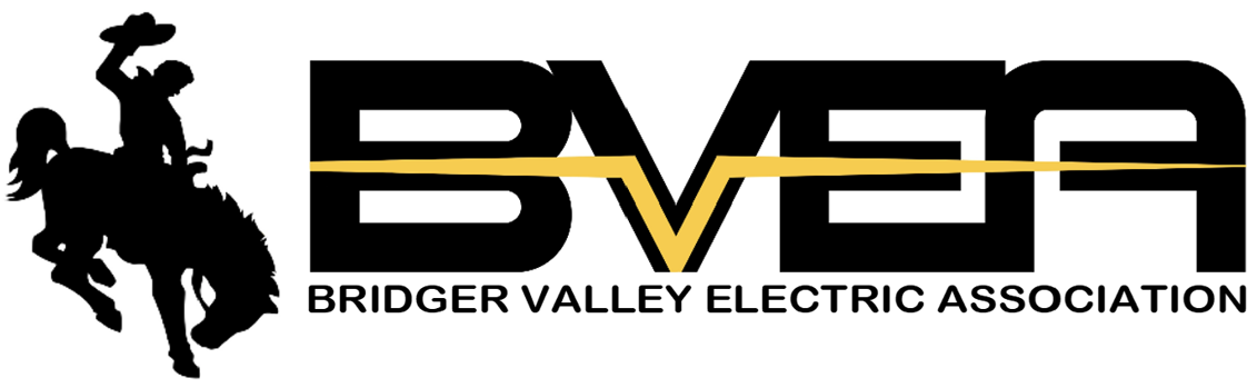 BVEA Logo- Best New (Best Size) (002) Neiman Enterprises Logo