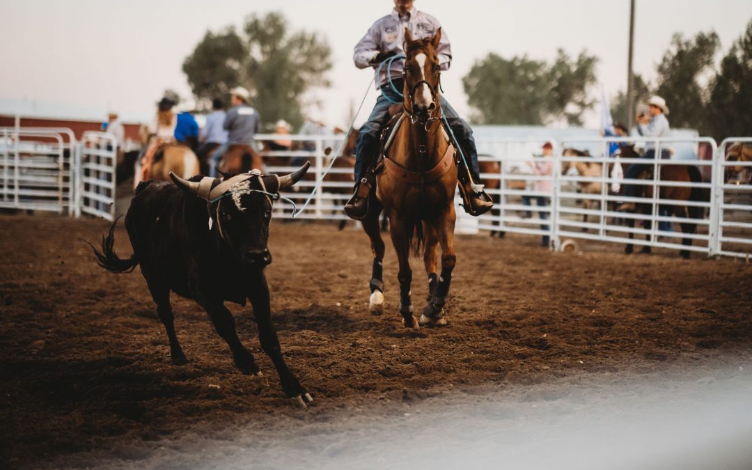 Wyoming State Fair Board to Meet Daily, August 15th-20th