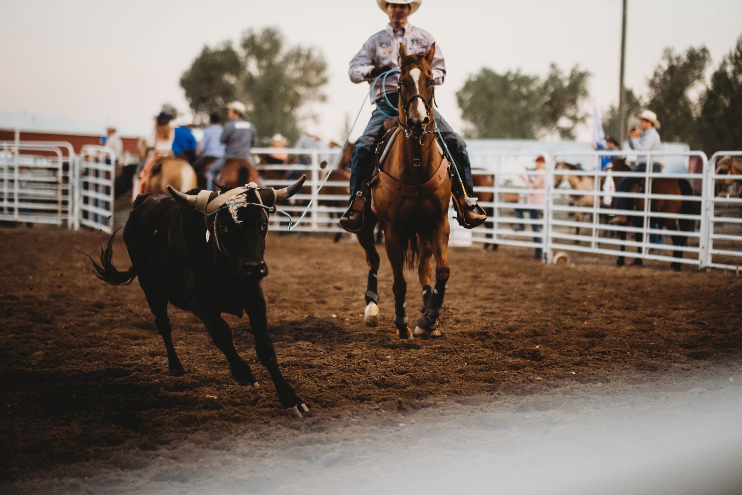 Home Wyoming State Fair