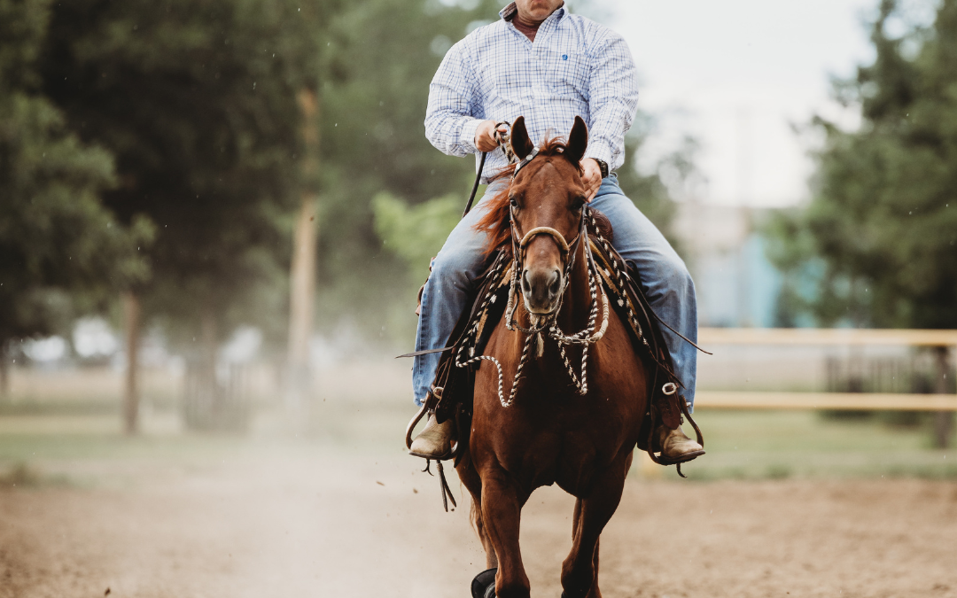 Colorado Reined Cowhorse Association (CRCA)