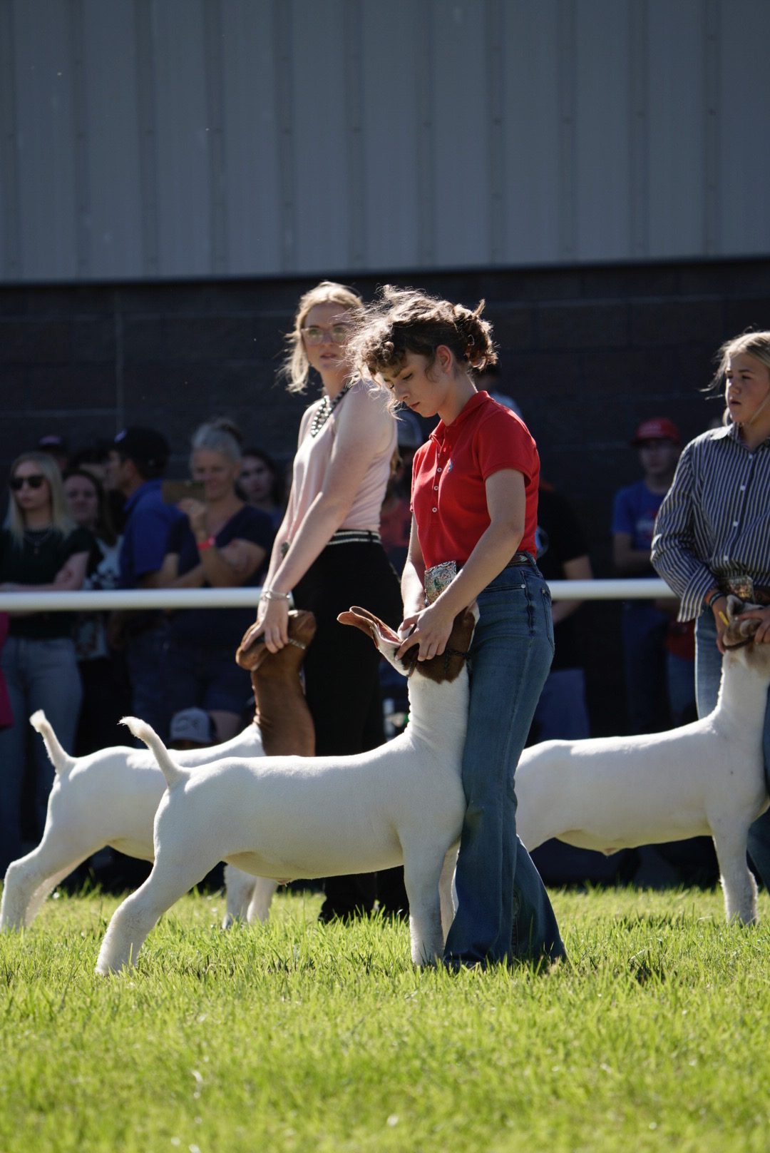 Exhibitor Results Wyoming State Fair