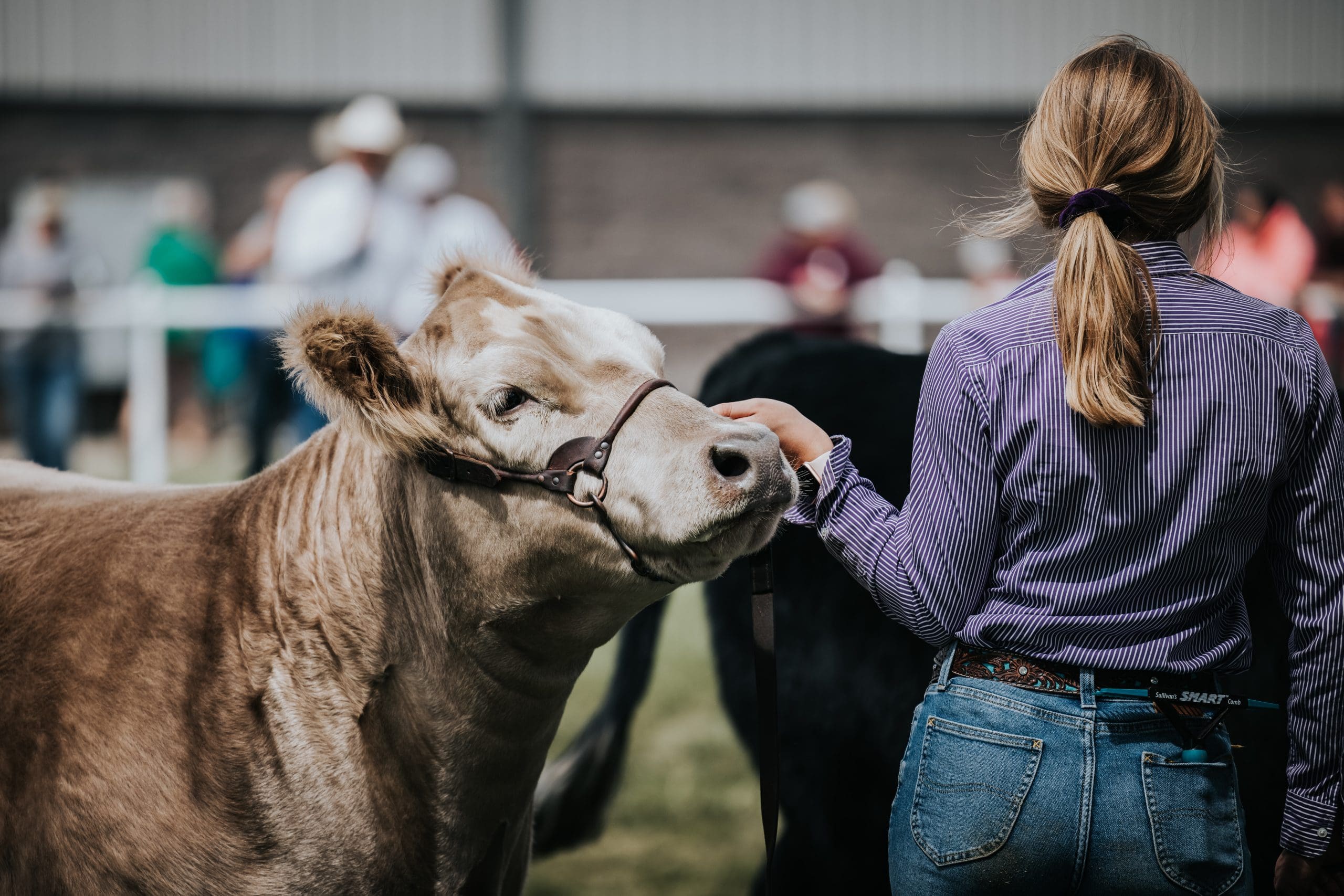 Exhibitor Newsletter - August 2023 - Wyoming State Fair