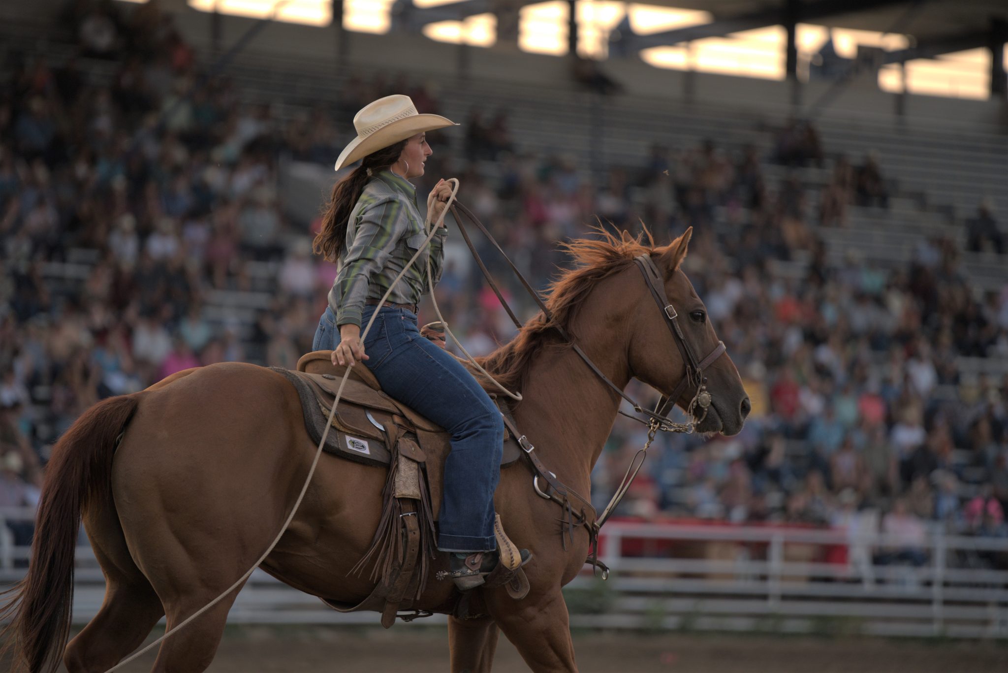 Wyoming State Fair 2025 Isabel Lindie