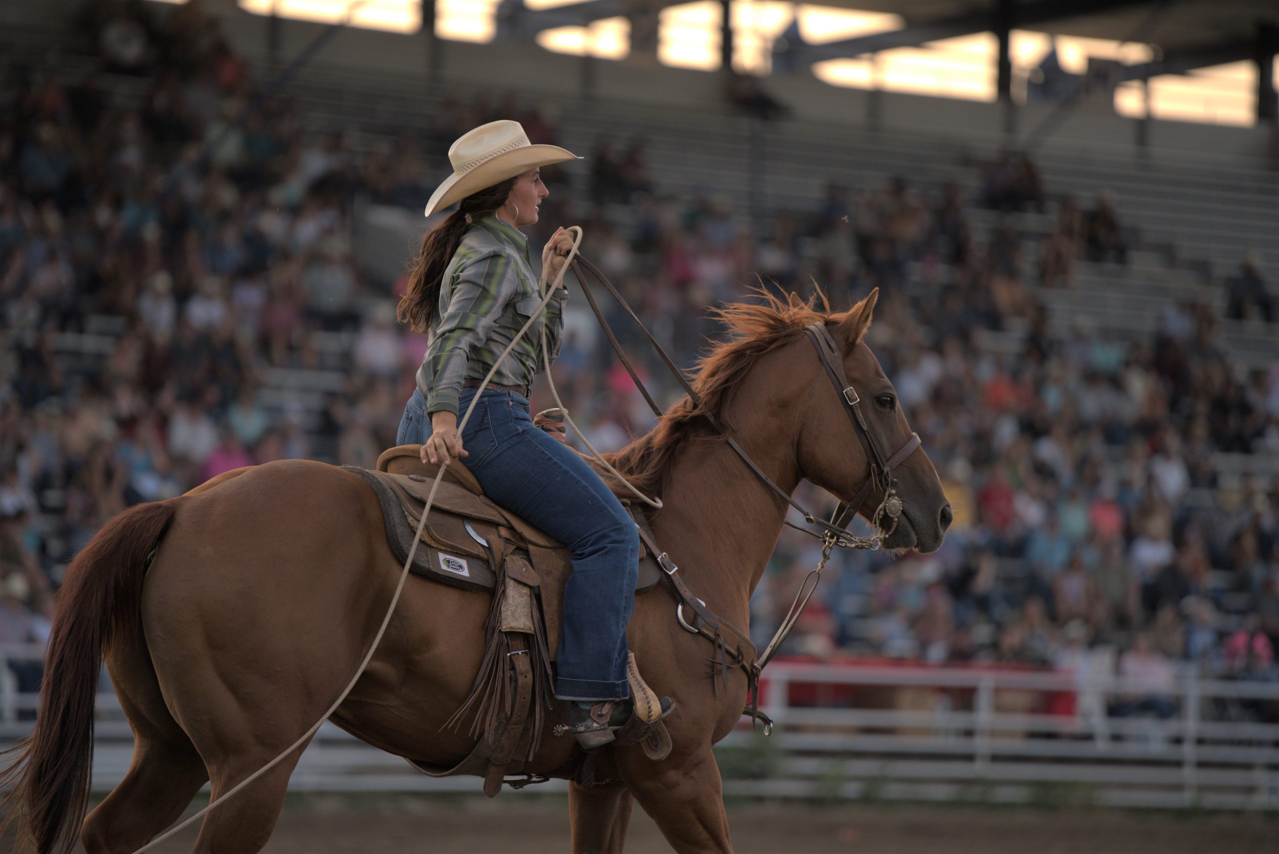 State Fair Wyoming State Fair