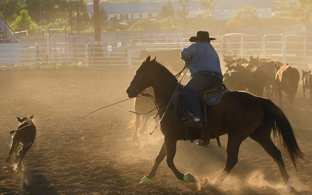 Ranch Rodeo Cowboy