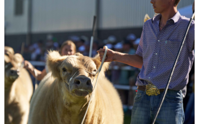 Top 5 Market Animal Payout Increases for 2024