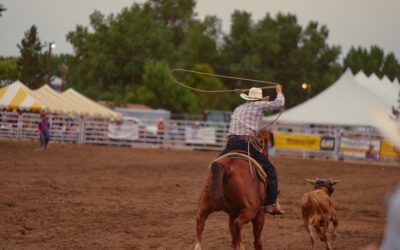 Board Meeting Notice Feb. 17, 2026